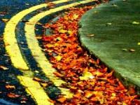 زیباترین جاده پاییزی