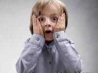 افتادن درخت