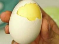 زرده و سفیده تخم مرغ 