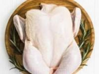فریز گوشت مرغ