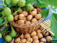 حمله قلبی