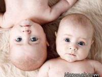 دوقلو از دو پدر