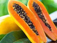 پاپایا