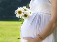 بارداری در تابستان