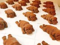 بستنی به شکل سگ