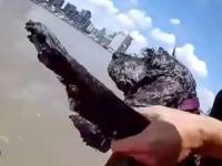 نجات سگ در رودخانه