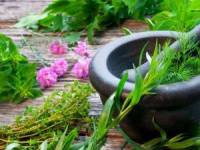 گیاه افزایش وزن