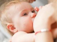 حکم گرفتن شیربها