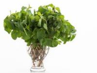 نعناع برای پوست