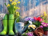 باغبانی فضای کوچک