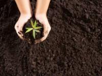 ضدعفونی کردن خاک