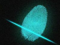 شباهت اثر انگشت