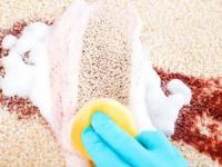 شامپو فرش خانگی