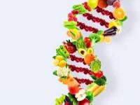 رژیم DNA