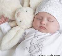 بچه دار شدن