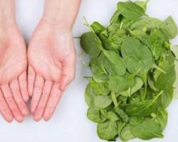 رژیم لاغری سریع