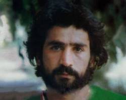 ایرج دانایی فر