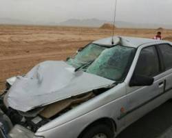 تصادف پژو