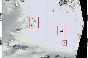 هواپیمای تهران یاسوج