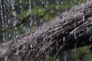 سامانه بارشی