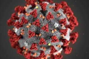 ویروس کرونا