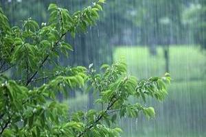 سامانه بارشی