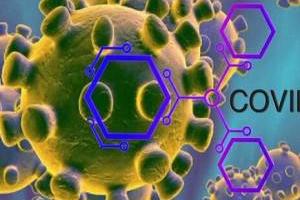 کرونا در تابستان