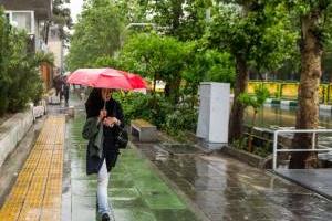 سامانه بارشی