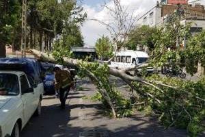 وزش باد شدید