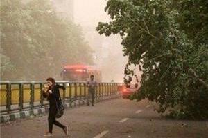 وزش باد شدید