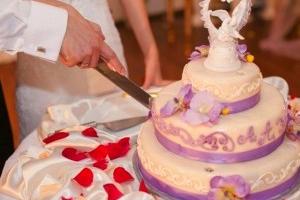 تغذیه عروس