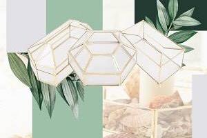 باکس شیشه ایی