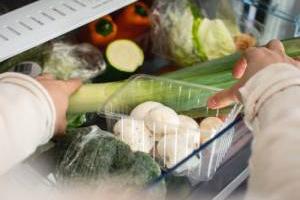 فریز کردن مواد غذایی