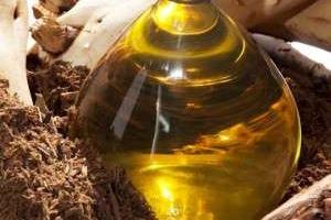 روغن چوب صندل