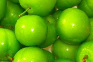 خواص گوجه سبز