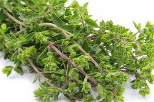 خواص مرزنجوش