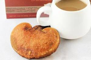 قهوه گانودرما