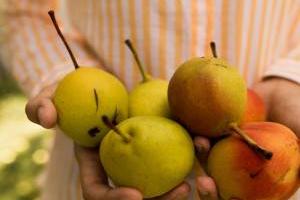 مواد غذایی ناشتا