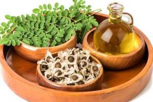 روغن مورینگا