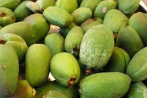 عوارض چغاله بادام