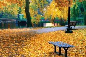 اس ام اس پاییز