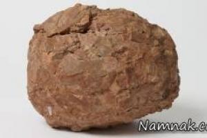 تخم دایناسور