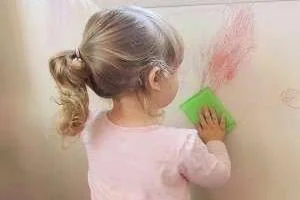 پاک کردن لکه