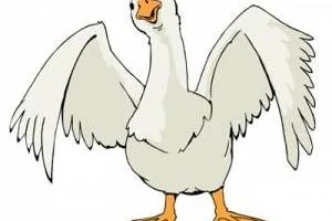 غاز