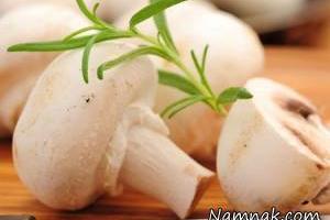 بزرگترین قارچ جهان