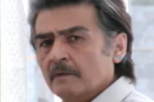 رضا رویگری