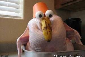 عکس های خنده دار