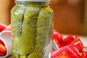 ترشی برگ مو