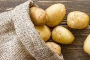 لاغری سیب زمینی