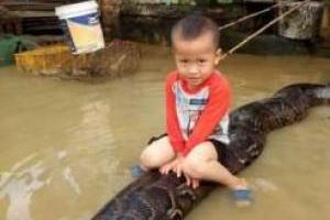 بازی با مار